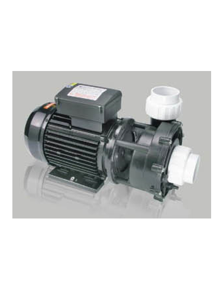 WP200-II 2HP bi-vitesse 2022