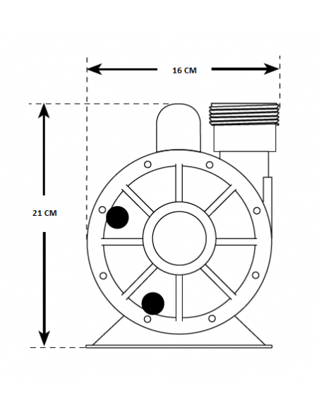 IRON MIGHT Pump Waterway pour spa et baignoire balnéo