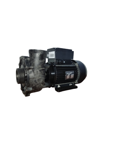 PF-20-2N22X Pompe Waterway EXECUTIVE EURO PUMP pour spa